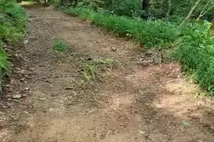 295 Bennett Branch Rd, Green Mountain, NC 28740 - Photo 4