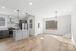 24 Lower Grassy Branch Rd, Asheville, NC 28805 - Photo 12