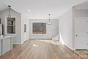 24 Lower Grassy Branch Rd, Asheville, NC 28805 - Photo 10