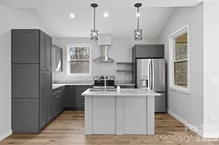 24 Lower Grassy Branch Rd, Asheville, NC 28805 - Photo 12