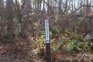 24 Lower Grassy Branch Rd, Asheville, NC 28805 - Photo 36