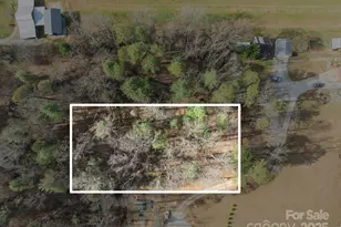 99999 Twin Lakes Dr, Flat Rock, NC 28792 - Photo 1