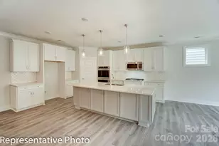 4010 Cedar Fls Dr, Waxhaw, NC 28173 - Photo 10