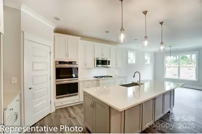 1003 Cedar Falls Drive, Waxhaw, NC 28173 - Photo 12