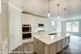 1003 Cedar Fls Dr, Waxhaw, NC 28173 - Photo 12