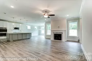 4010 Cedar Fls Dr, Waxhaw, NC 28173 - Photo 8