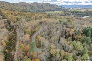 20 Nature Walk Ln, Etowah, NC 28739 - Photo 42