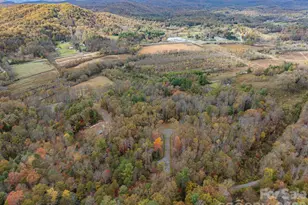 20 Nature Walk Ln, Etowah, NC 28739 - Photo 40