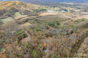 20 Nature Walk Ln, Etowah, NC 28739 - Photo 44