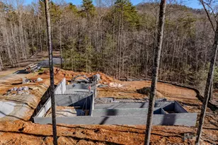 20 Nature Walk Ln, Etowah, NC 28739 - Photo 16