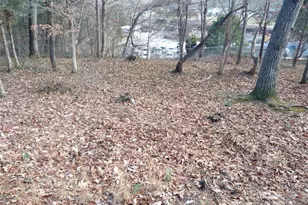 335 Heather Ct, Asheville, NC 28804 - Photo 16