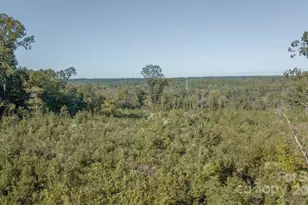 1339 Liberty Rd, Chester, SC 29706 - Photo 26