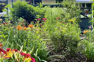 200 Nimitz Dr, Brevard, NC 28712 - Photo 40