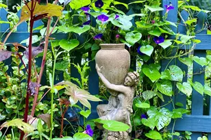 200 Nimitz Dr, Brevard, NC 28712 - Photo 42