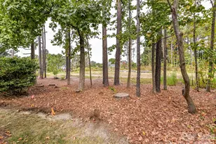 3619 Savannah Hills Dr, Matthews, NC 28105 - Photo 42