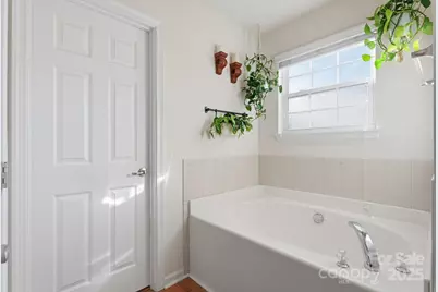 10913 Tailwater Street, Davidson, NC 28036 - Photo 30