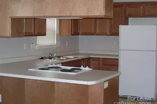 159 Clusters Cir, Mooresville, NC 28117 - Photo 10