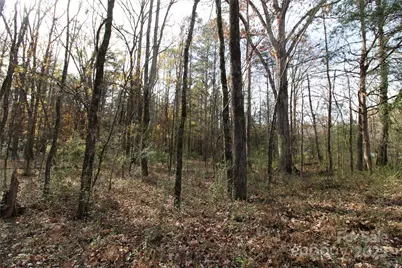 6.5+/-Ac Bookout Road, Rock Hill, SC 29730 - Photo 8