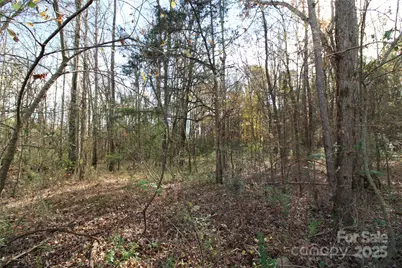 6.5+/-Ac Bookout Road, Rock Hill, SC 29730 - Photo 6