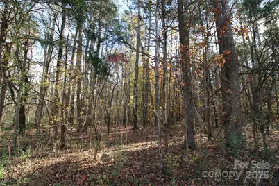 6.5+/-Ac Bookout Road, Rock Hill, SC 29730 - Photo 4