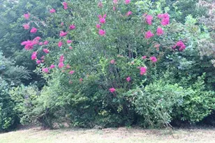 707 Lickskillet Rd, Burnsville, NC 28714 - Photo 12