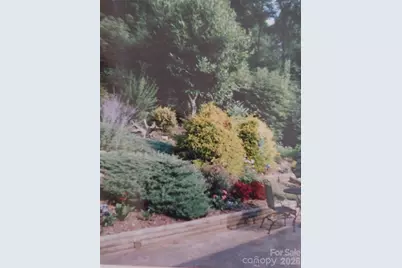 707 Lickskillet Road, Burnsville, NC 28714 - Photo 12