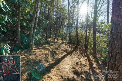 9999 North Fork Road #5 & 6, Black Mountain, NC 28711 - Photo 26