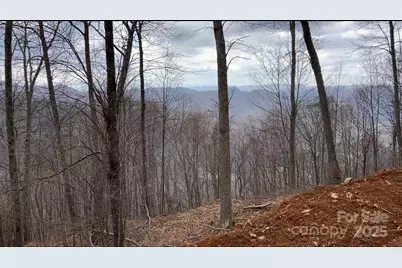 Lot 6 Andrew Banks Road, Burnsville, NC 28714 - Photo 4