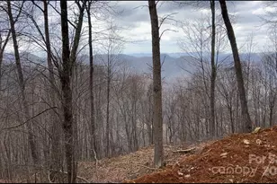 Lot 6 Andrew Banks Rd, Burnsville, NC 28714 - Photo 4