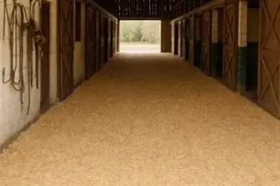 4462 1 Hoover Rd, Lawndale, NC 28090 - Photo 38