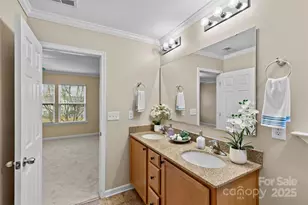 4009 Egrets Nest Court, Mount Holly, NC 28120 - Photo 22