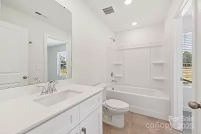 270 Tiger Lily Drive, Fort Mill, SC 29708 - Photo 6