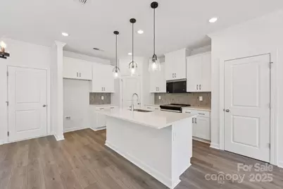 270 Tiger Lily Drive, Fort Mill, SC 29708 - Photo 10