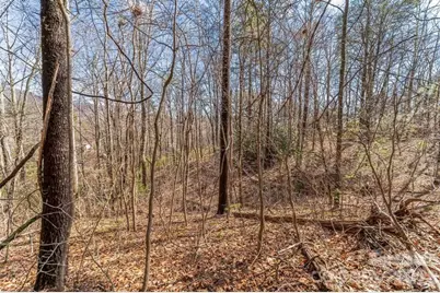 99999 Parker Road, Asheville, NC 28805 - Photo 4