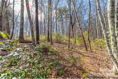 99999 Parker Road, Asheville, NC 28805 - Photo 2