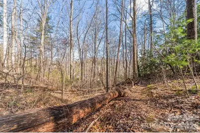 99999 Parker Road, Asheville, NC 28805 - Photo 6