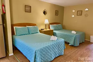 160 Whitney Blvd, Lake Lure, NC 28746 - Photo 4