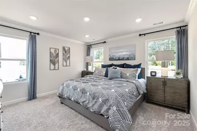 8036 Hidden Springs Trail, Charlotte, NC 28216 - Photo 8