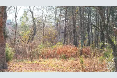 112 Sandy Point Drive, Shelby, NC 28150 - Photo 4