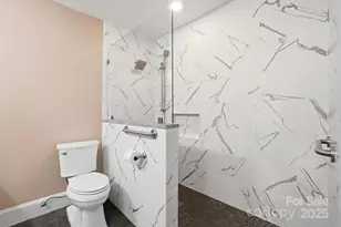 2909 Misty Plum Ct, Fort Mill, SC 29715 - Photo 22