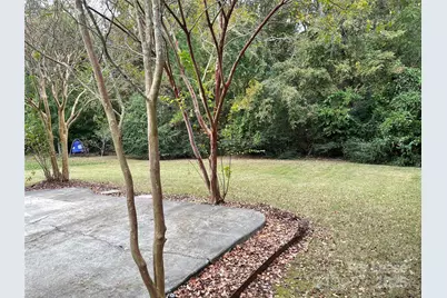 8619 Dennington Grove Lane, Charlotte, NC 28277 - Photo 2