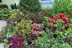 1330 Cedar Ln, Charlotte, NC 28226 - Photo 44