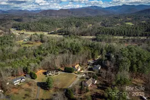 61 Locust Meadow Ln, Weaverville, NC 28787 - Photo 44