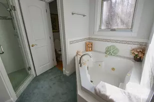 1468 Mt Olivet Rd, Zirconia, NC 28790 - Photo 26