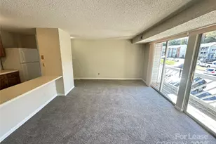 9520 Shannon Green Dr, Charlotte, NC 28213 - Photo 4