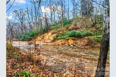 109 Wall Road, Tryon, NC 28782 - Photo 38