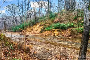 109 Wall Rd, Tryon, NC 28782 - Photo 38