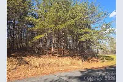 Lot 60 Lake Adger Parkway #60, Mill Spring, NC 28756 - Photo 4