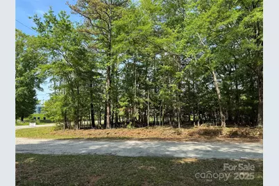 3 Mulberry Street, Forest City, NC 28043 - Photo 10