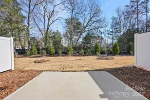 2127 Bayou Trace Dr, Charlotte, NC 28262 - Photo 28